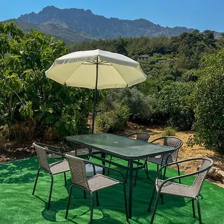 Ftery 別荘 Rachonio